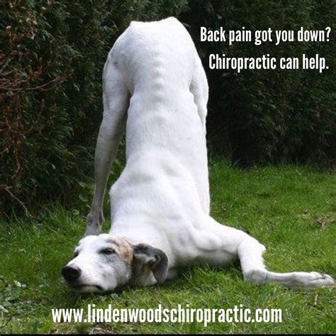 Pin by The New Renaissance on Chiropractic Memes and Humor | Chiropractic quotes, Chiropractic ...