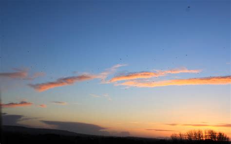 Sunset Sky View 8 (Birds in flight) by DeepOakTrails on DeviantArt