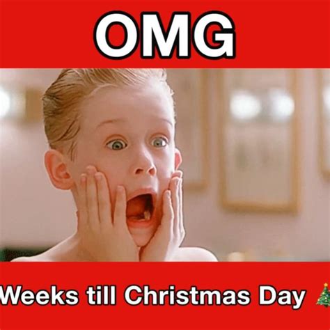 Christmas Countdown [Video] | Weeks till christmas, Christmas memes ...