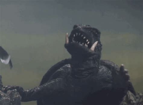 Gamera Turtle GIF - Gamera Turtle Kaiju - Uppgötvaðu og deildu GIF ...