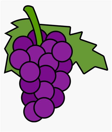 Grapes Fruits Png Transparent Images Clipart Icons - Grape Clipart, Png Download - kindpng