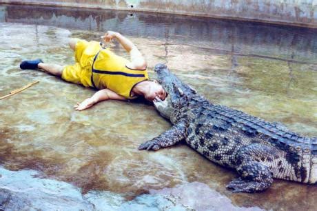 Nile Crocodile Eating A Human