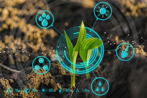 Soil technologies - New Food Magazine