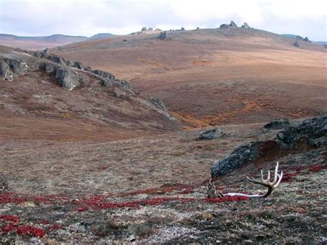 Bering Land Bridge National Preserve / Hard to Reach But Worth It - TRIPS INTO HISTORYTRIPS INTO ...