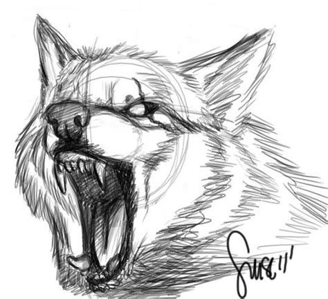 snarling wolf drawings - Google Search | Dessin d'animal, Dessin chien, Dessin de chien