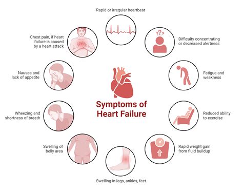 Symptoms of Heart Failure | BioRender Science Templates