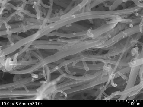 Carbon Nanotubes, Multi-walled, Nitrogen-doped (MWCNTs) - Carbon Nanotubes - Materials - Carbon ...