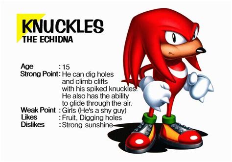 A Knuckles Retrospective: Before (Part 1) | Sonic the Hedgehog! Amino