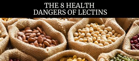 Health Dangers of Lectins | Health dangers, Lectins, Digestion problems