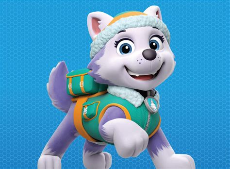 Paw Patrol Characters Names With Images Online Deals | www ...