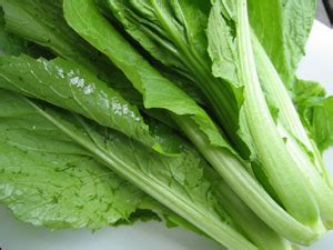 Mustard Greens Definition - Angel Vegetable