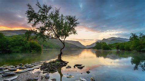 Sunrise at Llyn Padarn at Llanberis, Snowdonia National Park - Bing Gallery