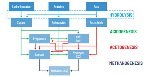 Anaerobic digestion - teCH4+