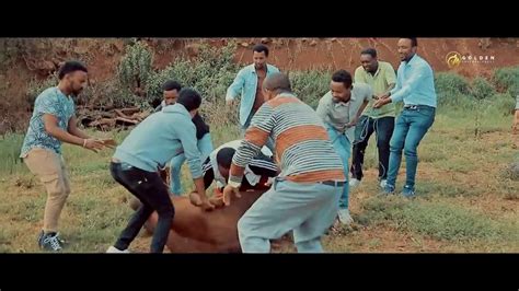 Ethiopia new music 2020 caalaa bultume sirba haarawa - YouTube