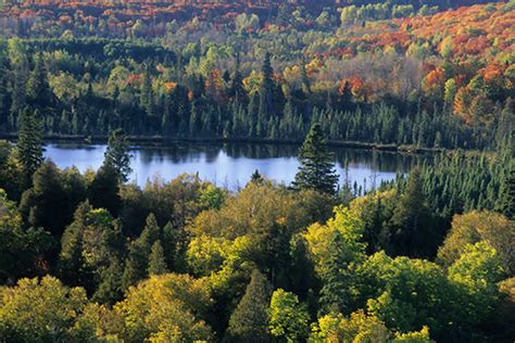 Superior National Forest | Explore Minnesota