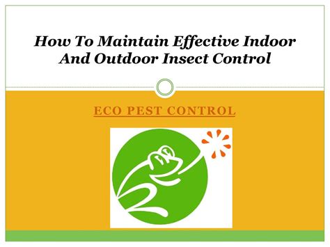 How To Maintain Effective Indoor And Outdoor Insect Control by ...