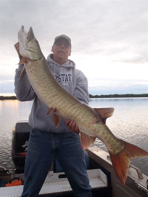 Ottawa River - released--- fishing is pretty good just a few blocks ...