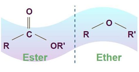 Difference Between Ester and Ether: Definition, Differences, Examples