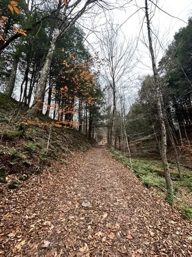 Best Hikes and Trails in Smugglers' Notch State Park | AllTrails