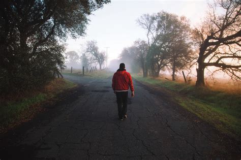 Fotos gratis : hombre, árbol, naturaleza, para caminar, persona, puesta ...