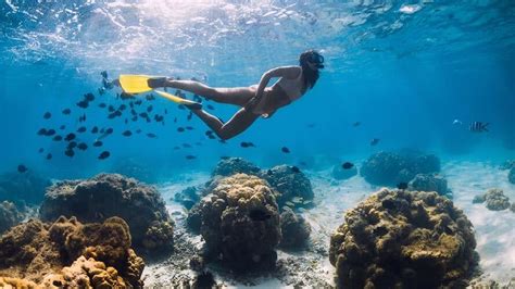 Snorkeling In Punta Cana: Super 1 Thing You Must To Do