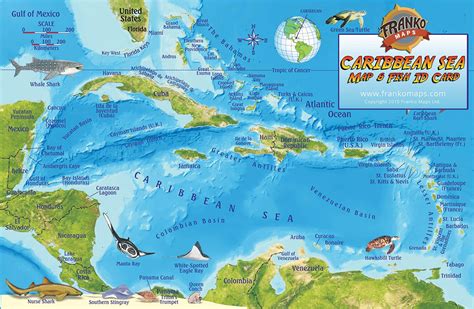 Caribbean Sea On World Map