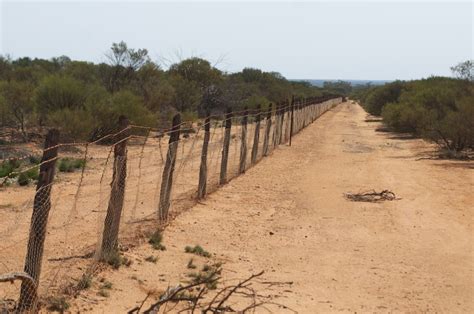 A Wandering Naturalist: Australia: Rabbit-Proof Fence