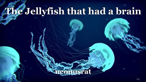 The Jellyfish that had a brain, book by neonusrat