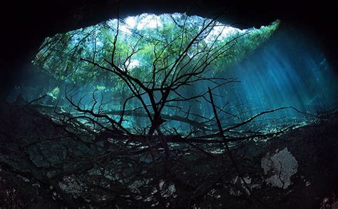 Mexico's Underwater River: A Paradise For Divers The World Over