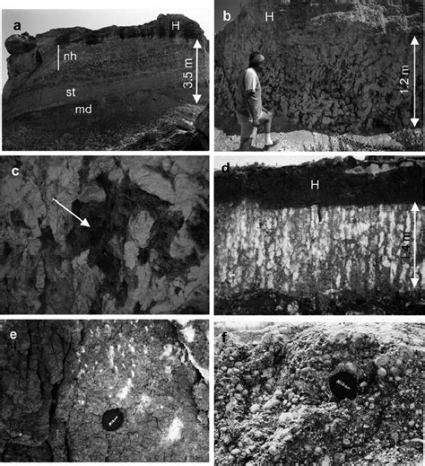 The occurrence and genesis of clay minerals associated with Quaternary caliches in the Mersin ...