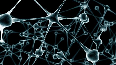 Neuron Wallpapers (52+ images)