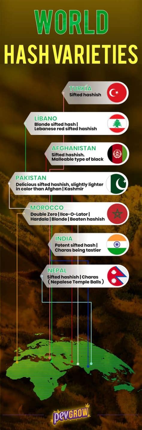 Types of Hashish, the Best Cannabis Concentrates in the World