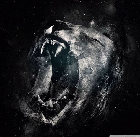 Lion Roar iPhone, Ultra Lion HD wallpaper | Pxfuel