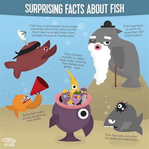 Surprising facts about fish! – Simple Happy Kitchen