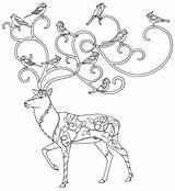 Enchanted Forest Coloring Pages At GetColoringscom  Free Printable sketch template
