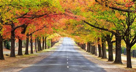 Autumn in the Macedon Ranges of Victoria - Apr 01 2017 to May 07 2017 ...