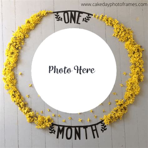 1 to 12 month complete baby photo frame Free edit