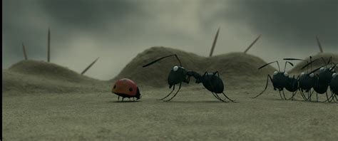 Minuscule.Valley.of.the.Lost.Ants.2013.1080p.BluRay.DD5.1.x264-VietHD – 7.1 GB