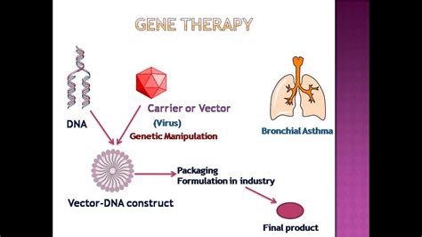 Gene therapy (Introduction) - YouTube