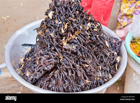 Deep fried tarantulas for sale at a coach stop in Cambodia Stock Photo - Alamy