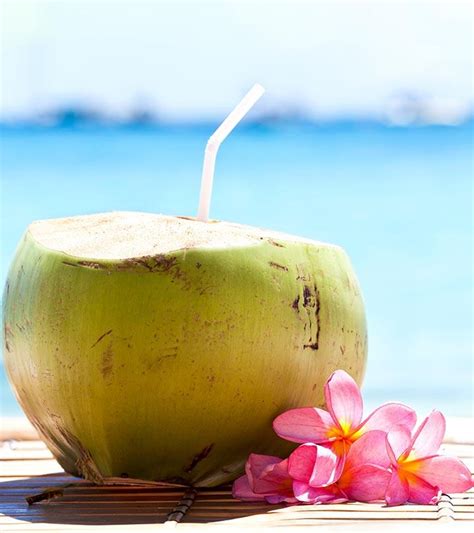 Coconut In Water / Coconut Water - Phase 3 | The Fast Metabolism Diet Community : It contains ...