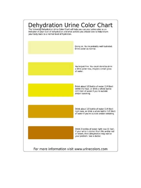 Hydration Chart