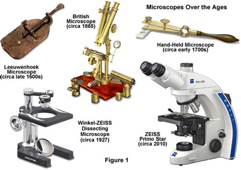 1886 Modern Compound Light Microscope