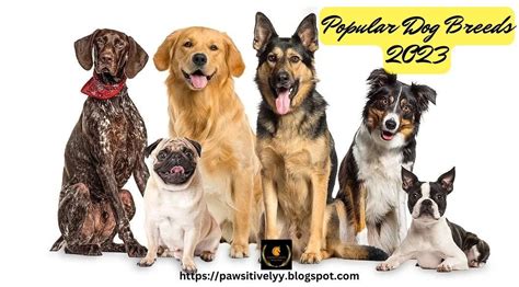 #Popular Dog Breeds 2023. Introduction Popular Dog Breeds 2023… | by Pawsitively | Medium