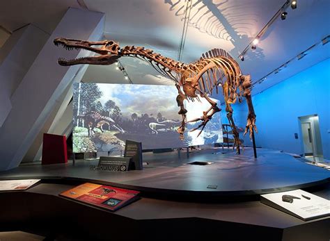 Ultimate Dinosaurs at the Canadian Museum of Nature - SavvyMom