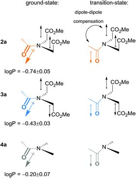 Amide rotation trajectories probed by symmetry - Organic & Biomolecular ...