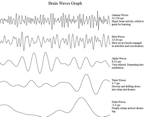 What Are Brain Waves (Theta, Delta, Alpha, Beta Brain Waves)? What Is ...