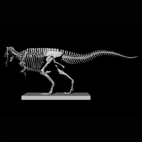 3D file Carcharodontosaurus Skeleton 💀・Model to download and 3D print・Cults