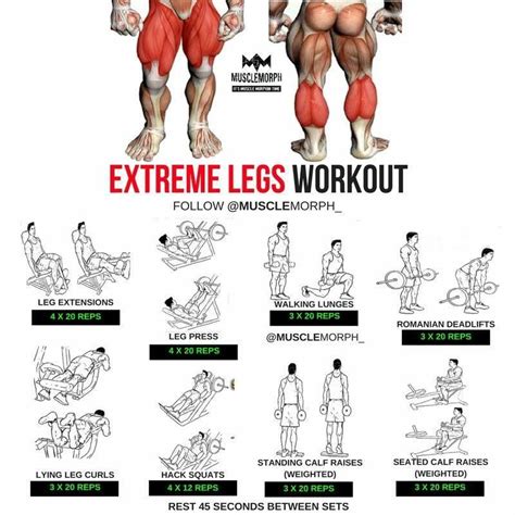 Pin by Jamal Latore on Fitness Exercises in 2024 | Leg workouts gym, Best leg workout, Legs workout