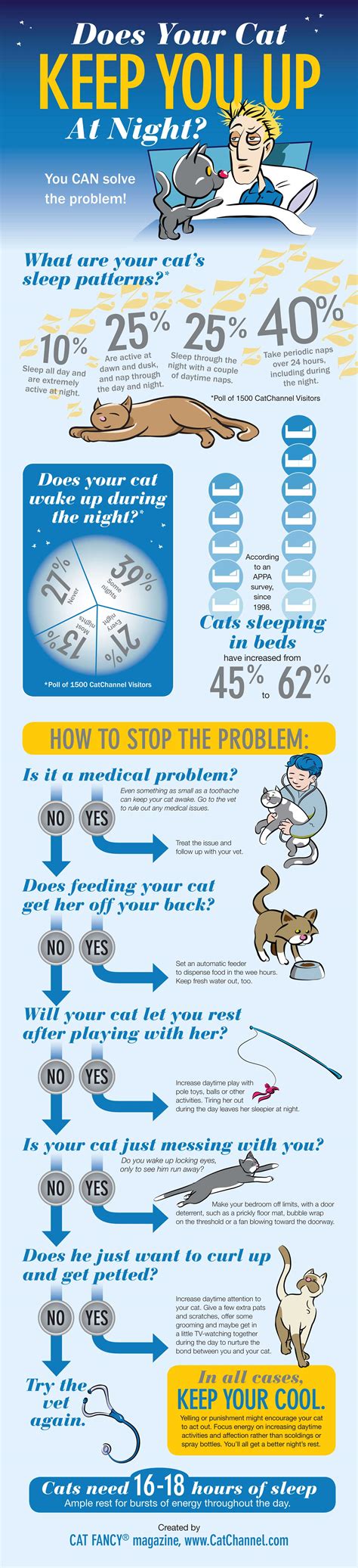 Cat Sleep Patterns (Infographic)